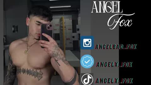 Angel Fox online show from 09.17.25