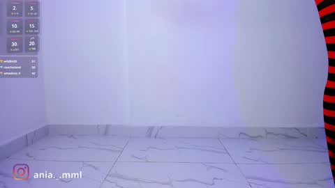 Snapshot of ania_mml chatting on 02.03.25 Ania online show from 02.03.25