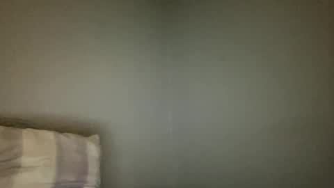 Animeboygirls online show from 01.02.25