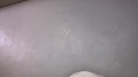 Animeboygirls online show from 10.19.25