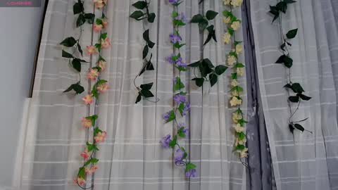 anissa_lee online show from 01.02.25