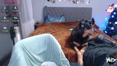 Anadirectgirl online show from 12.31.24