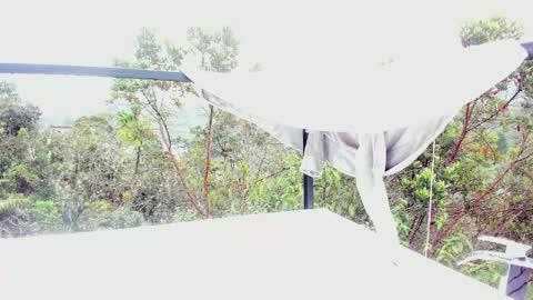  Anna Weells  online show from 03.30.26