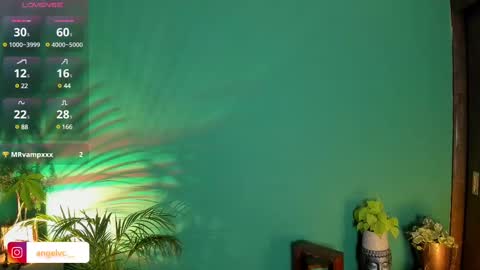 ANG  online show from 02.11.25