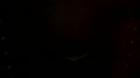 annecharlie online show from 11.30.25