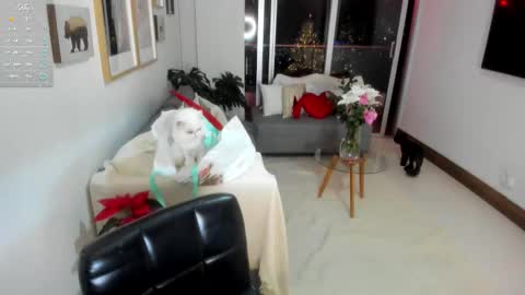 Anny online show from 12.01.25