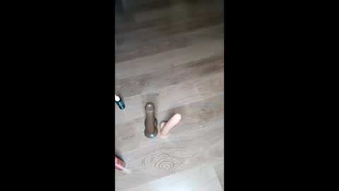 anoncuriouser online show from 04.24.26