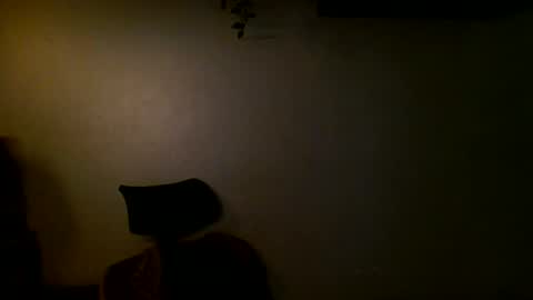 Snapshot of anthonym3 chatting on 12.11.24 Ant online show from 12.11.24