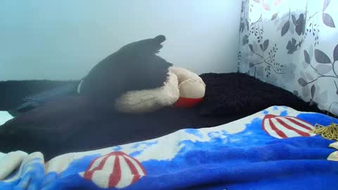 ANTONELLA WILLIAM  INDEPENDIENTE online show from 02.05.25