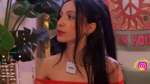 Nell. online show from 02.13.26