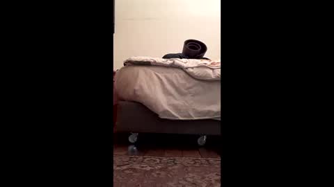 Snapshot of antonino85 chatting on 02.10.26 antonino85 online show from 02.10.26