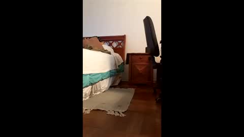 Snapshot of antonino85 chatting on 02.20.26 antonino85 online show from 02.20.26