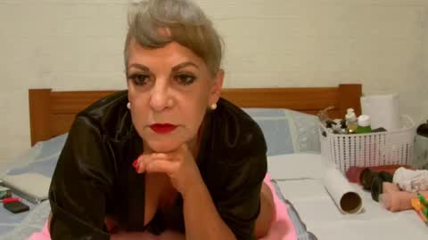 ANY CAT online show from 12.24.24