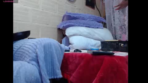 any simsom online show from 02.01.26