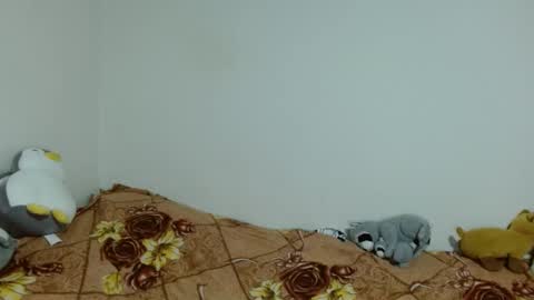 apache_710 online show from 11.20.25