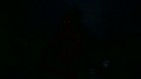 Snapshot of apixaba chatting on 12.29.24 furry bear online show from 12.29.24