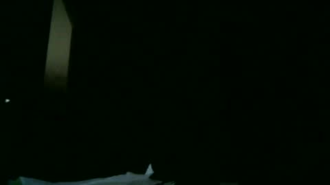 Snapshot of apixaba chatting on 03.09.25 furry bear online show from 03.09.25