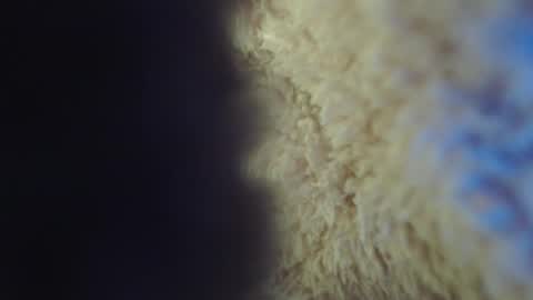 Abril Freelance Model online show from 02.05.25