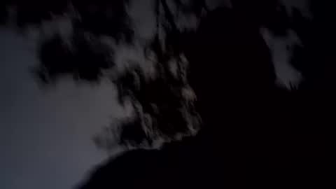 Snapshot of archangel__michael chatting on 01.19.25 ARCHANGEL MICHAEl online show from 01.19.25