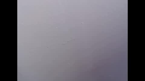 Snapshot of ariannaloovel chatting on 04.27.26 ariannaloovel online show from 04.27.26
