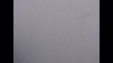Snapshot of ariannaloovel chatting on 05.19.26 ariannaloovel online show from 05.19.26