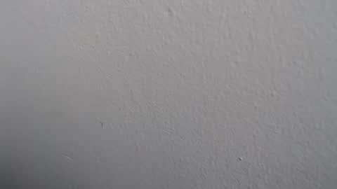 Snapshot of ariannaloovel chatting on 05.27.26 ariannaloovel online show from 05.27.26