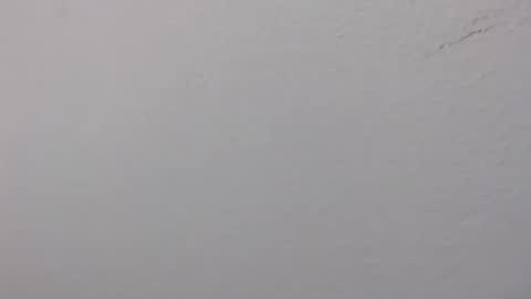 Snapshot of ariannaloovel chatting on 06.14.26 ariannaloovel online show from 06.14.26