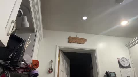 Aria online show from 01.08.25