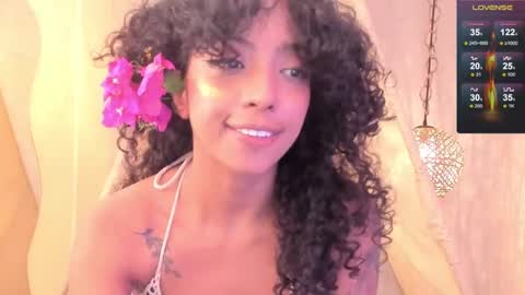 A R I   online show from 02.12.25