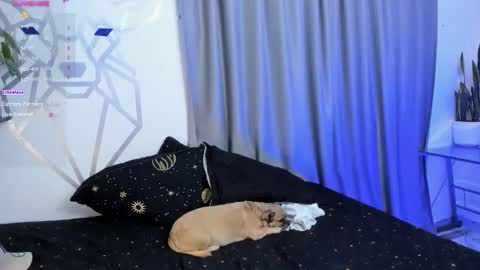 Aron Santoro online show from 01.12.25