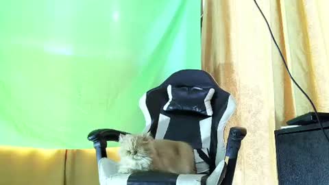 aronmiller online show from 07.21.26