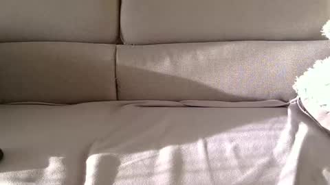 arpinopeer3055 online show from 11.05.25