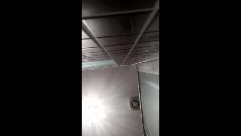 art2414 online show from 04.06.26