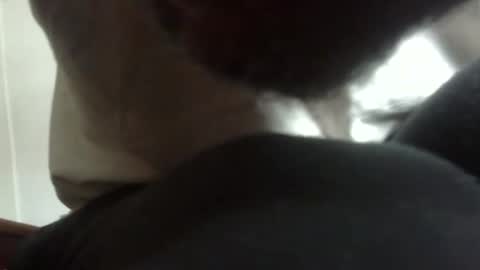 Arteblazze not daddy boy bitch or nigga online show from 02.09.26