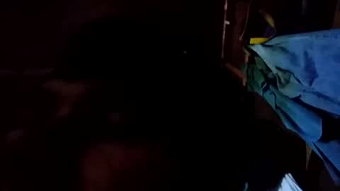 arvy95198 online show from 10.12.25