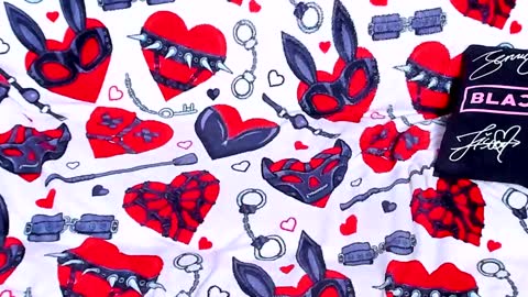 Snapshot of ash_dest1ny chatting on 01.29.25 Ash online show from 01.29.25