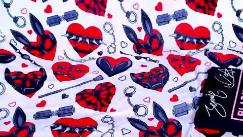 Snapshot of ash_dest1ny chatting on 02.15.25 Ash online show from 02.15.25