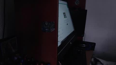 Snapshot of ash_v1 chatting on 02.11.25 Ash online show from 02.11.25