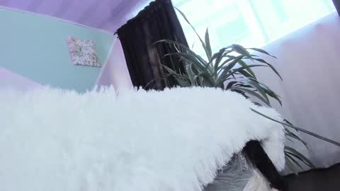 Snapshot of ashley_kim2 chatting on 01.11.25 ASHLEY online show from 01.11.25