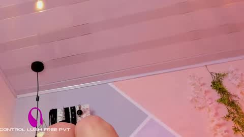 Snapshot of ashley_kim2 chatting on 02.27.25 ASHLEY online show from 02.27.25