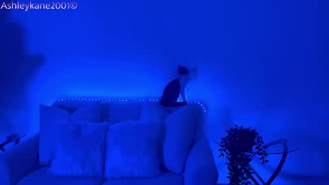 Ashley online show from 01.20.25