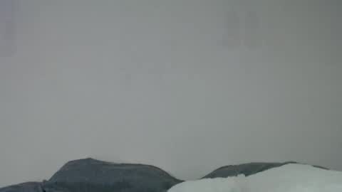 Anite         online show from 12.06.24