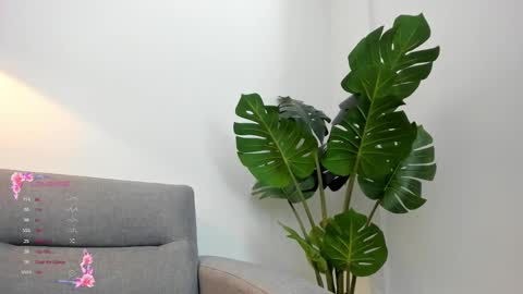 ashllovee online show from 01.23.25