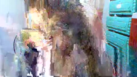 sweet feb online show from 11.07.25