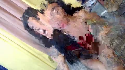 Snapshot of asian_kimxxx chatting on 01.30.25 don online show from 01.30.25