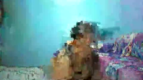 ann online show from 04.26.26