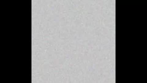 Carolina online show from 03.27.26