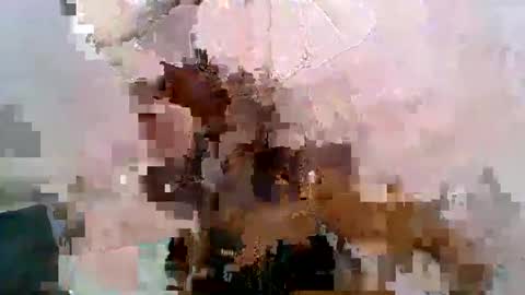 Snapshot of aurelia107 chatting on 05.31.26 aurelia107 online show from 05.31.26