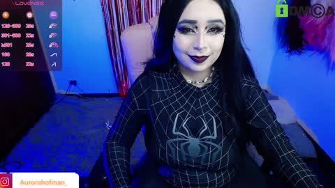 Snapshot of aurorahoffman chatting on 12.04.24 Aurora online show from 12.04.24