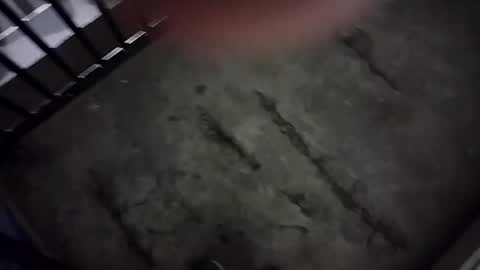 Snapshot of ausername1234517600 chatting on 01.01.25 Lex online show from 01.01.25